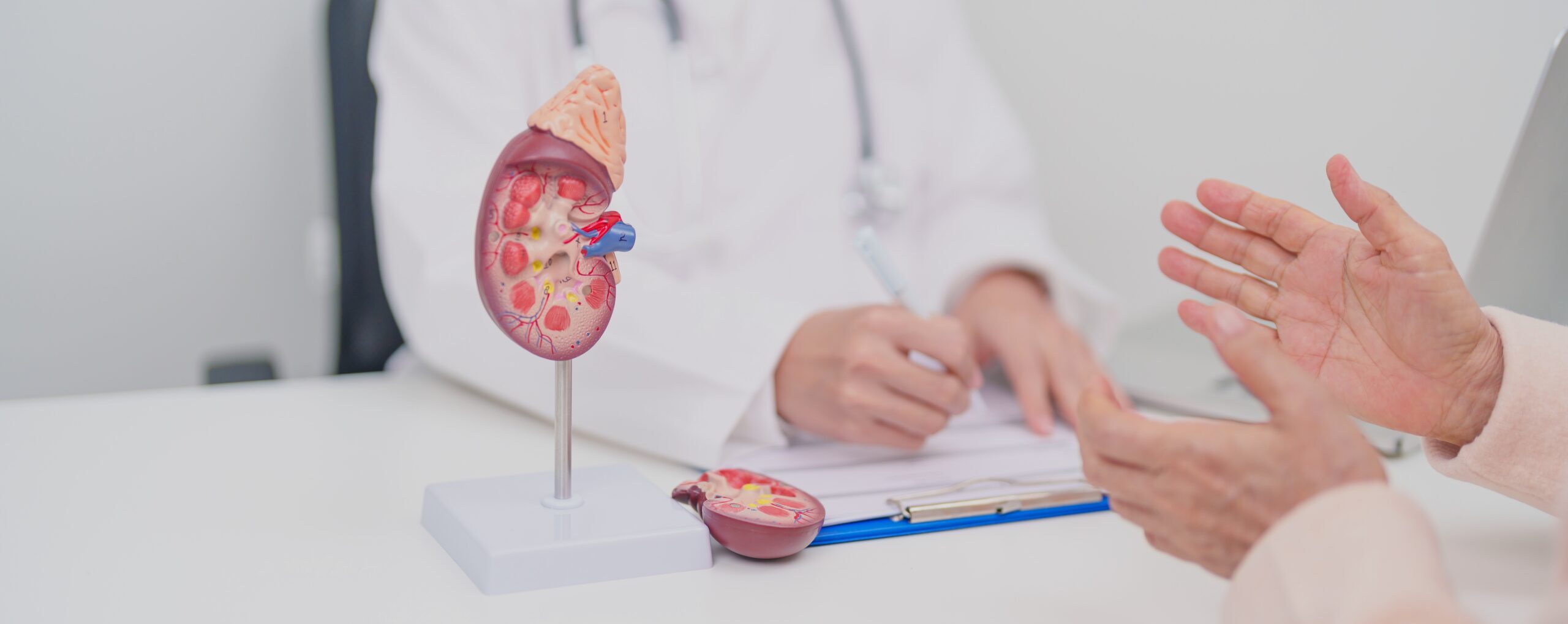 メインビジュアル1